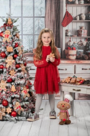 Vánoční focení v MŠ