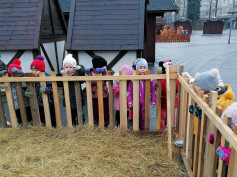 Vánoční čas u Medvídků..