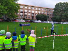 DEN MOBILITY - září 2022