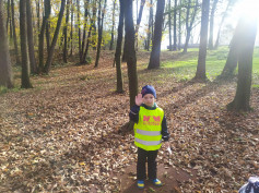 Lesní hrátky na Stromovce..