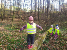 Lesní hrátky na Stromovce..