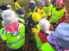 Lesní hrátky na Stromovce..