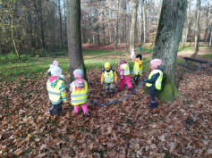 Lesní hrátky na Stromovce..