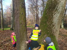 Lesní hrátky na Stromovce..