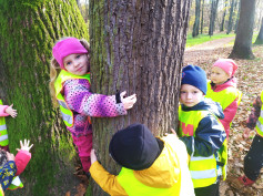 Lesní hrátky na Stromovce..