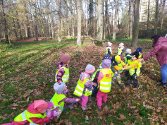 Lesní hrátky na Stromovce..